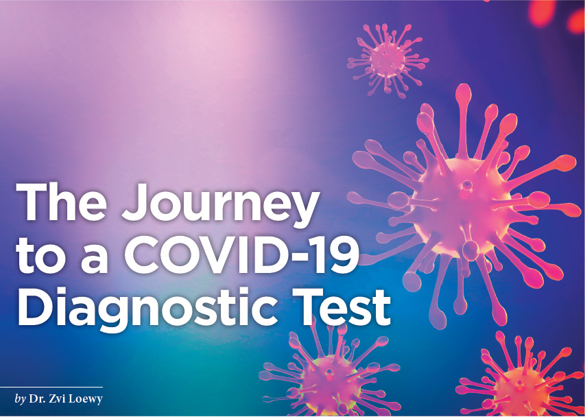 The Journey to a COVID-19 Diagnostic Test